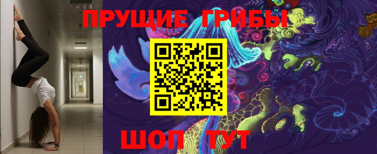 Галлюциногенные грибы Psilocybe  Галлюциногенные грибы Cubensis  Канаш  Вход с VPN 