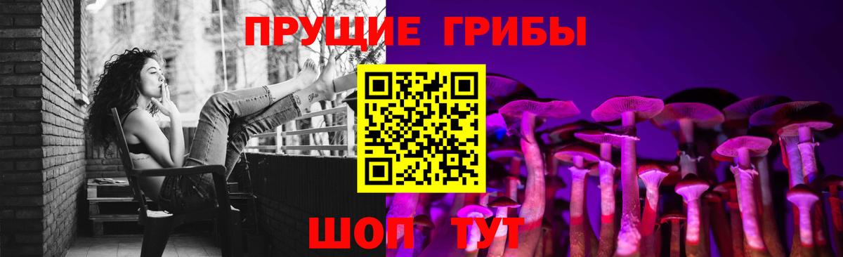 Псилоцибиновые грибы мицелий Канаш